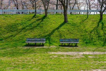 公園の古い二つのベンチ
