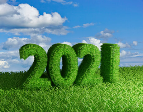 2021 year of green grass on a green grass field, freshness, ecology, protection and conservation of nature calendar