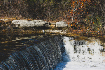 waterfall in the forest