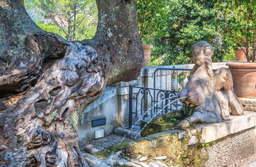 Ancient fountain in the form of a mythical monster in an old Italian park