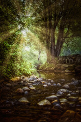 Bucolic small stream flows slowly past a rustic stone wall through large trees in a steep glen on a sunny summer morning with sun-rays breaking through the branches