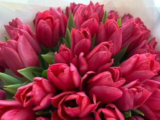 Obraz premium A bouquet of blossoming flowers, close-up. Pink tulip petals in the package. Composition of spring flowers in a bouquet.