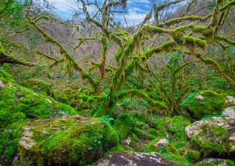 Revotano and Eremo di San Leonardo (Roccantica, Italy) - The spectacular attractions in Sabina...