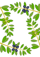 Olive branches with olives isolated on white background - vector frame with stone fruit and leaves for natural design