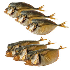 Smoked vomer fish, collage on white background isolated