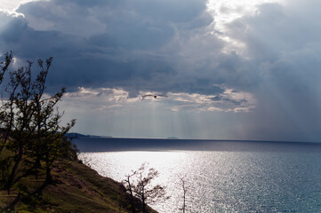 Lake Baikal in cloudy weather with clouds and sunbeams and a flying seagull above the water in summer