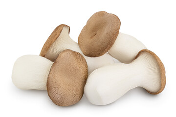 Fototapeta na wymiar King Oyster mushroom or Eringi isolated on white background with clipping path and full depth of field.