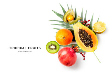 Tropical fruits and palm leaf composition