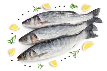 Sea bass fich isolated on white background with clipping path. Top view. Flat lay