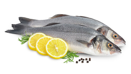 Sea bass fich isolated on white background with clipping path and full depth of field.