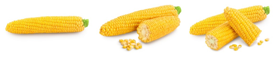 ear of corn isolated on a white background. Clipping path and full depth of field. Set or collection