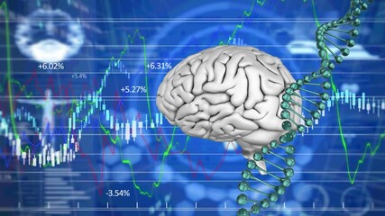 Human brain and dna spinning against financial data processing on blue background - Powered by Adobe