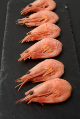 fresh shrimp in a row on a black slate board