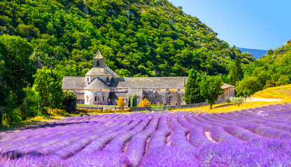 Senanque Abbey Gordes Provence Lavender fields Notre-Dame de Senanque, Luberon, France. Europe