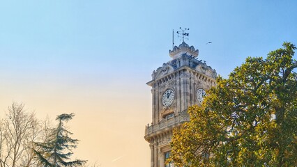04.03.2021. istanbul Turkey. Clock tower in dolmabahce palace with tree and sky background. Clock...