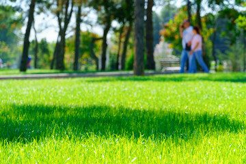 city park on a summer day, green lawns with grass and trees, paths and benches, people walking and...