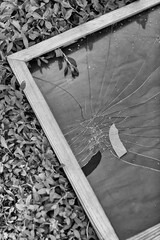 On the grass lies a photo frame with broken glass from the impact of a knock.