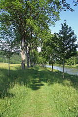 Alee an der Altm&uuml;hl