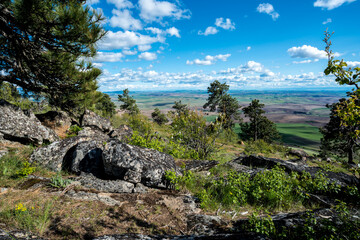 Palouse in Washington State in Spring