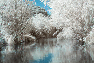 Infrared view of river in winter