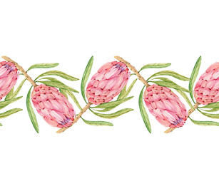 seamless border of exotic large protea flowers, watercolor illustration for design