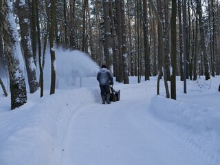 A park worker clears paths among pine trees with a snow plow on a cloudy winter day. Mechanization of labor of park workers.