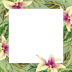 frame with delicate watercolor tropical leaves and orchid flowers, illustration hand painted