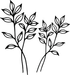Ink sketch, outline black and white drawing of meadow herb with little leaves. Can be used for logo design or any other minimalist design in ecologic style. Vector illustration