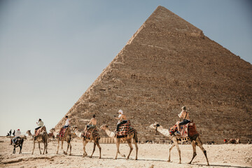 Camel caravan in front of the Great pyramid of Giza