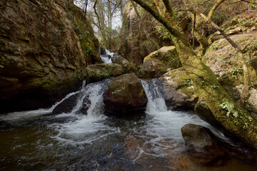 Fototapeta premium Small waterfall formed by the river Teo in the area of Galicia, Spain.