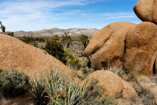 Mojave National Preserve, California