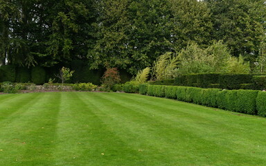 garden lawn