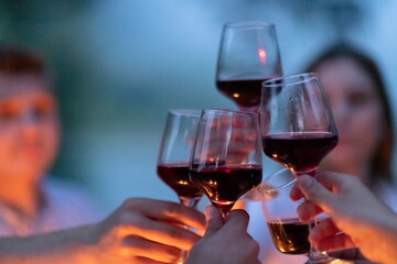 french dinner party on summer