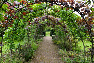 trellis path in the garden