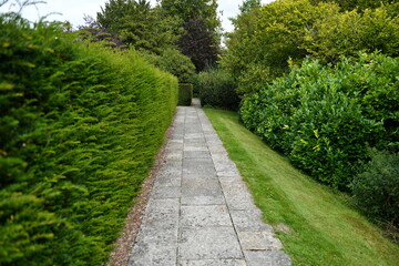 Fototapeta na wymiar path in the garden