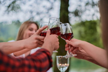 french dinner party on summer
