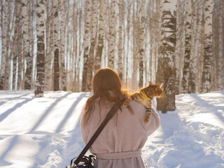 A Bengal cat with a surprised face is traveling on the shoulder of an unknown girl. Walk with your...