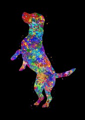 Beagle dog watercolor, black background, abstract painting. Watercolor illustration rainbow, colorful, decoration wall art.	
