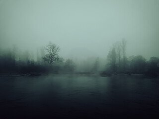 Fototapeta premium misty morning in the forest