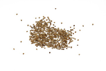 Fototapeta premium Coriander seeds isolated on white background. Pile of coriander seeds isolated (white background). Dry coriander seeds, common cooking spice.