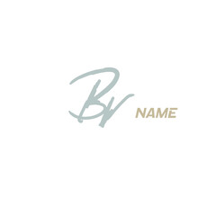 Bv handwritten logo for identity