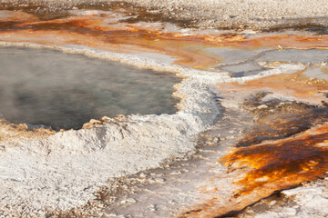Yellowstone National Park, Wyoming, USA. Ear Spring.