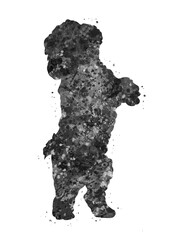 Bichon frise breed Dog black and white watercolor, abstract painting. Watercolor illustration rainbow, colorful, decoration wall art.