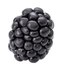 Blackberry macro isolate studio shot. Black berry isolated on white background. Dewberry closeup...