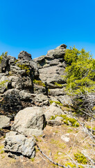 Fototapeta na wymiar Big rocks in Jizera mountains with high trees around