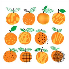 Vector orange set illustration. Hand drawn orange summer collection. Citrus design