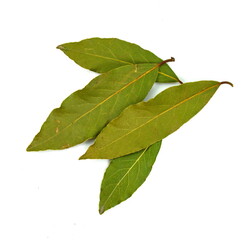 Laurel spice. Isolated bay leaf. Laurel leaves on a white background. Bayleaf. laurel leaves.