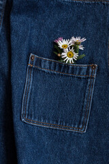 Closeup view of the upper pocket of a denim apron with some daisies inside.