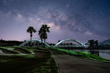 Obraz premium The garden at night with stars and the milky way in the sky is so beautiful.