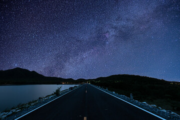 The garden at night with stars and the milky way in the sky is so beautiful.